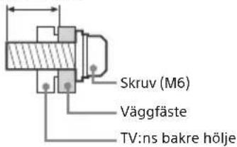 Skruv (M6) Väggfäste TV:ns bakre hölje