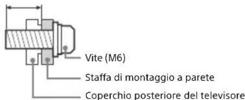 Vite (M6) Staffa di montaggio a parete Coperchio posteriore del televisore