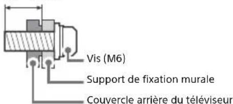 Vis (M6) Support de fixation murale Couvercle arrière du téléviseur