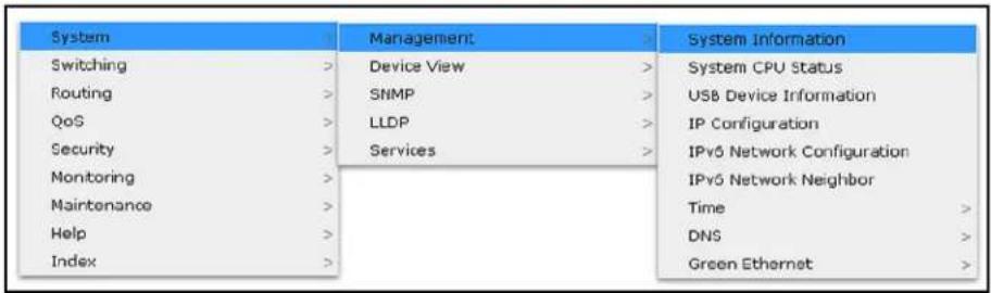 System Switching > Routing > QoS > Security > Monitoring > Maintenance > Help > Index > Management > Device View > SNMP > LLDP > Services > System Information System CPU Status USB Device Information IP Configuration IPv6 Network Configuration IPv6 Network Neighbor Time > DNS > Green Ethernet >