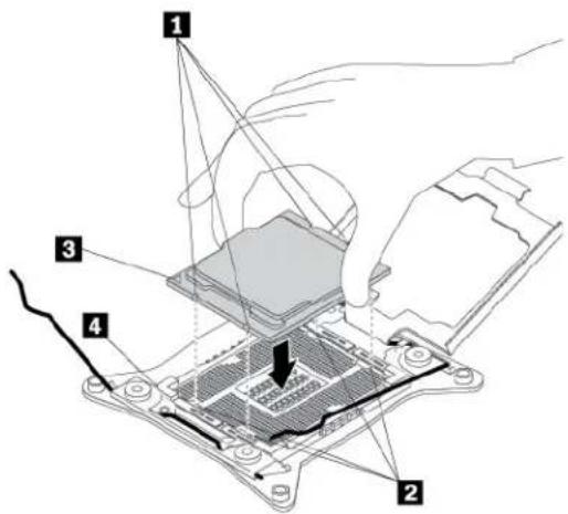 Diagram of a microprocessor with labeled parts, showing hand and circuit connections