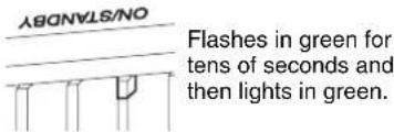 ON/STANDBY Flashes in green for tens of seconds and then lights in green.