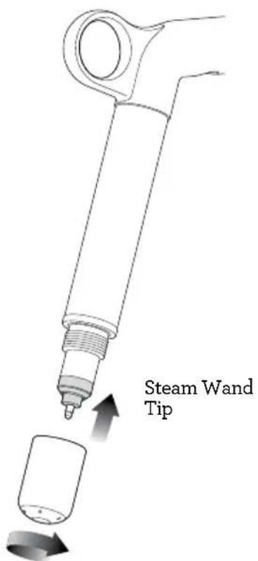 Steam Wand Tip