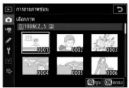 100%Z_5 0001 0002 0003 0004 0005 0006
