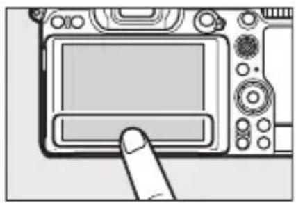 NIKON Z 5 - แสดงภาพ - 2