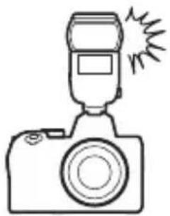 NIKON Z 5 - ชุดแพลชที่ติดตั้งกับกล้อง - 1