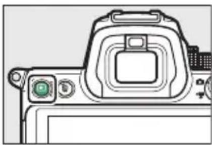 NIKON Z 5 - แสดงภาพ - 1