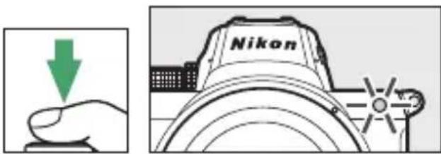 Nikon