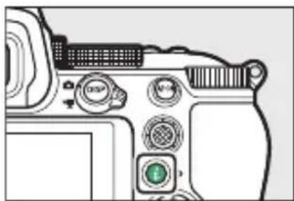 NIKON Z 5 - เมษฐ i - 1