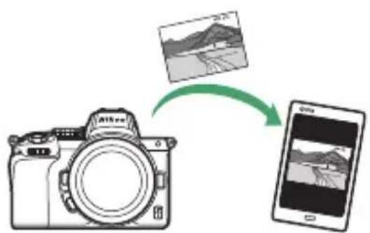 NIKON Z 5 - การเชื่อมต่อไร้สาย - 1