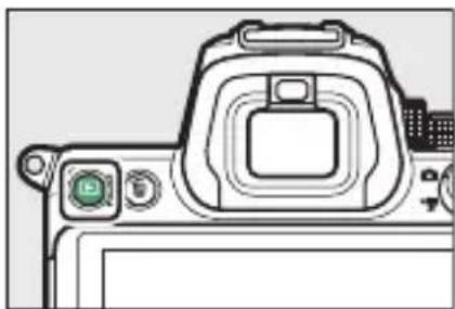 NIKON Z 5 - ให้คะแนนภาพ - 1