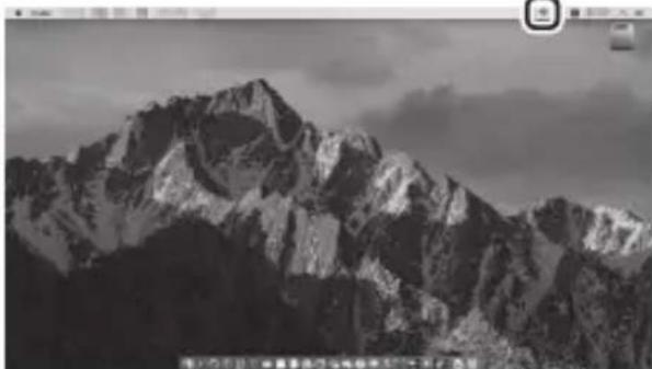 NIKON Z 5 - Windows: - 3