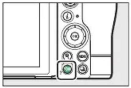 NIKON Z 5 - การแสดงภาพขนาดย่อ - 1