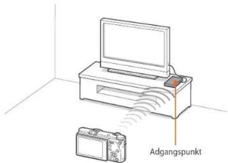 Adgangspunkt