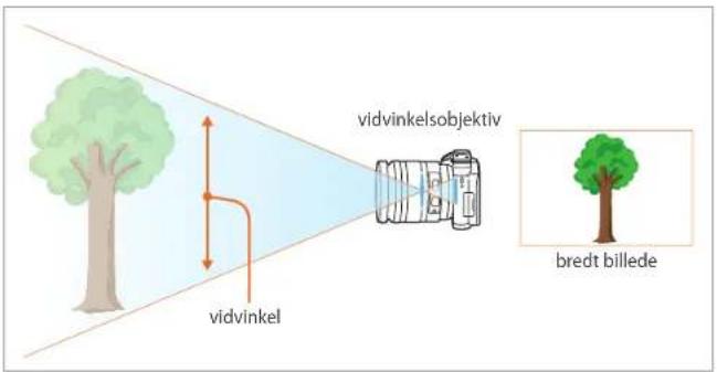 vidvinkel vidvinkelsobjektiv bredt billede