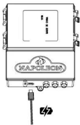 NAPLEON MACE & ONION