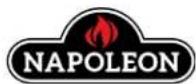 Napoleon Prestige 500 RSIB - HOW DOES IT WORK? - 1