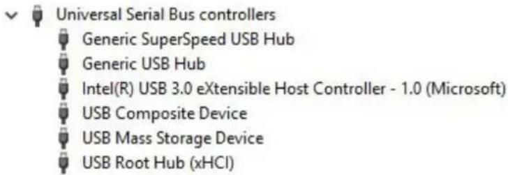 Universal Serial Bus controllers Generic SuperSpeed USB Hub Generic USB Hub Intel(R) USB 3.0 eXtensible Host Controller - 1.0 (Microsoft) USB Composite Device USB Mass Storage Device USB Root Hub (xHCI)