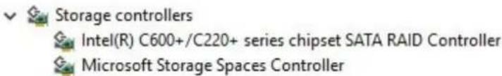 Storage controllers Intel(R) C600+/C220+ series chipset SATA RAID Controller Microsoft Storage Spaces Controller
