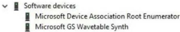 Software devices Microsoft Device Association Root Enumerator Microsoft GS Wavetable Synth