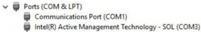 Ports (COM & LPT) Communications Port (COM1) Intel(R) Active Management Technology - SOL (COM3)