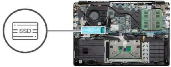 SSD