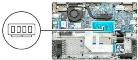 DELL Latitude 3310 - Om denne opgave - 1