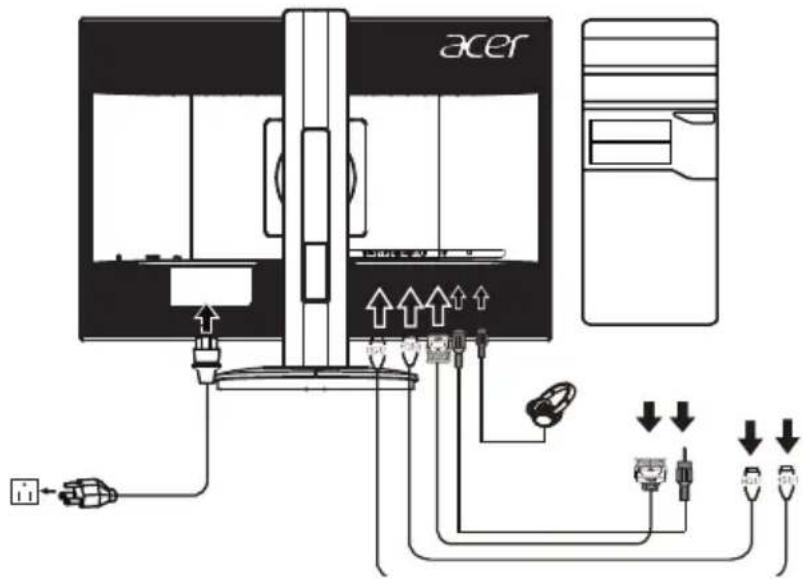 acer