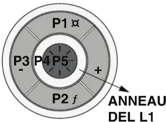 P1 α P3 P4 P5- + P2 f ANNEAU DEL L1