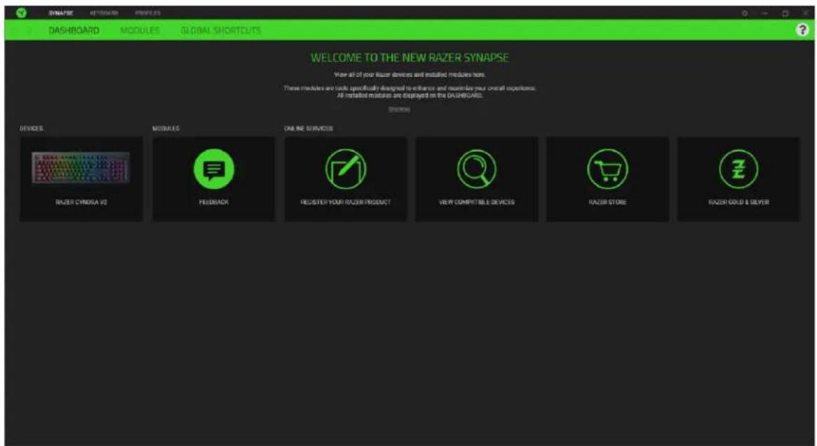 RAZER Cynosa V2 - SYNAPSE タブ - 1