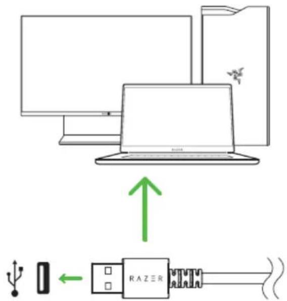 RAZER Cynosa V2 - RAZER CYNOSA V2 のセットアップ - 1