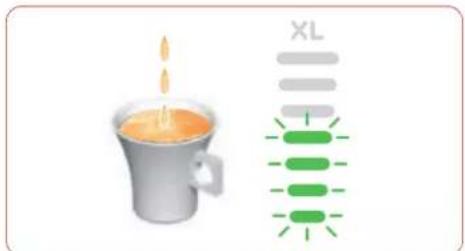 Illustration of a coffee cup with a candle and a vertical bar labeled XL (no text or symbols on the cup itself)
