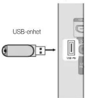 SAMSUNG LE19C350D1W - Ansluta en USB-enhet - 1