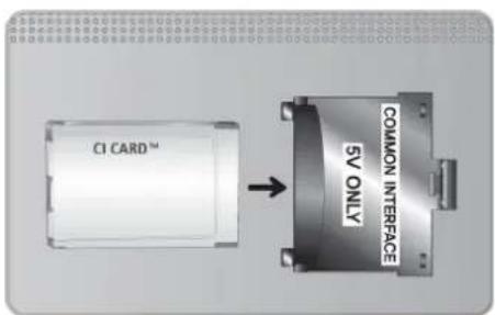 CI CARD™ COMMON INTERFACE SV ONLY