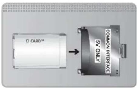 CI CARD™ COMMON INTERFACE SV ONLY