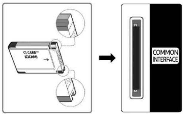 C1 CARD™ (CICAM) COMMON INTERFACE