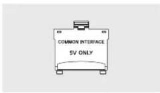 COMMON INTERFACE SV ONLY