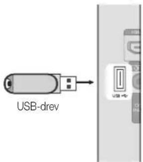 SAMSUNG LE22C350D1W - Tilslutning til en USB-enhed - 1