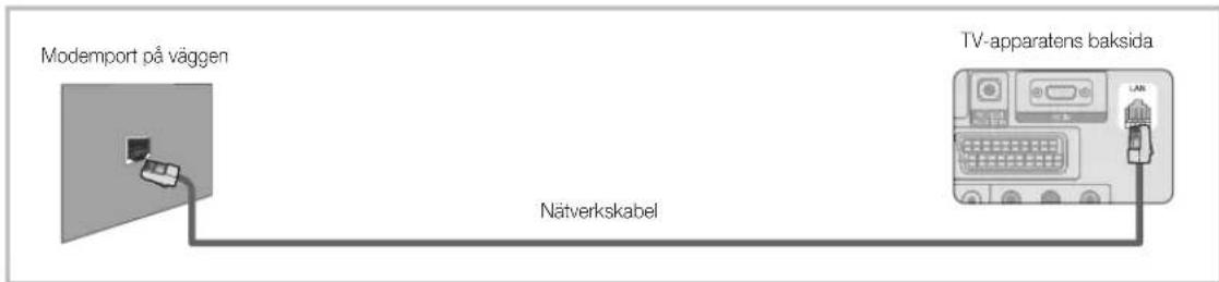 Modemport på väggen Nätverkskabel TV-apparatens baksida