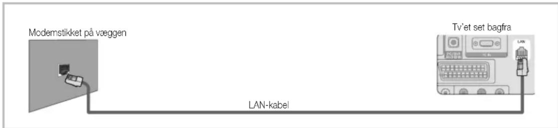 SAMSUNG LE37C530F1W - Tilslutning til et kablet netværk - 3