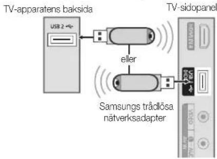 TV-apparatens baksida USB 2 eller Samsungs trädlösa nätverksadapter TV-sidopanel