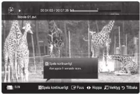 00:04:03 / 00:07:36 1st Movie 01.avi Spela kontinuerligt Aver upps i f senesle scan. SUM Spela kontinuerligt Paus Hoppa Verkytg Tillbaka