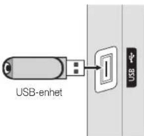 SAMSUNG PS42C430A1W - Ansluta en USB-enhet - 1