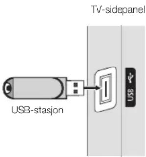 TV-sidepanel USB-stasjon