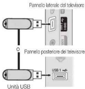 Pannello laterale del televisore Pannello posteriore del televisore Unità USB USB 1