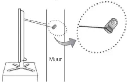 Muur