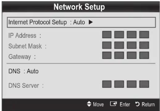 Network Setup Internet Protocol Setup : Auto ▶ IP Address : Subnet Mask : Gateway : DNS : Auto DNS Server : Move Enter Return