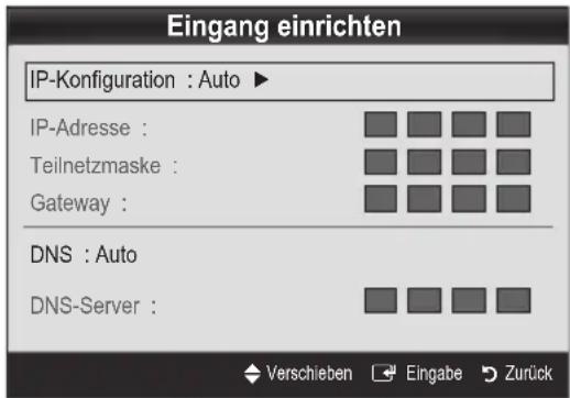 Eingang einrichten IP-Konfiguration : Auto ► IP-Adresse : Teilnetzmaske : Gateway : DNS : Auto DNS-Server :