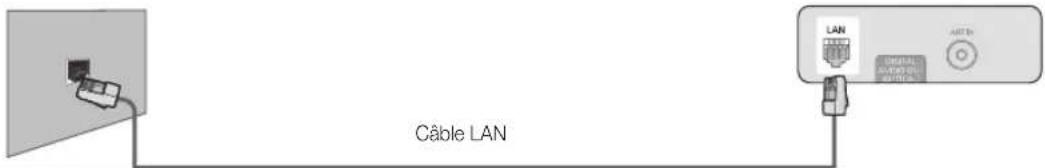 Câble LAN LAN USB POWER