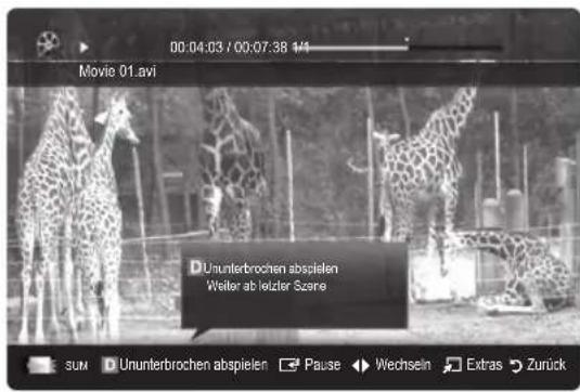 00:04:03 / 00:07:38 1/4 Movie 01.avi D Ununterbrochen abspielen Weiter ab letzter Szene SUM D Ununterbrochen abspielen Pause Wechseln Extras Zurück
